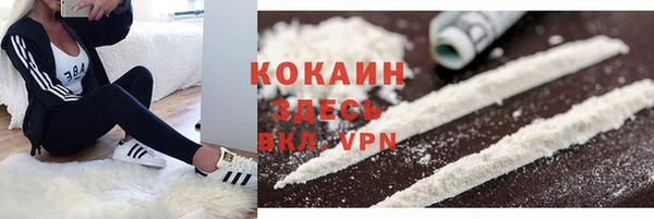 шишки Зерноград