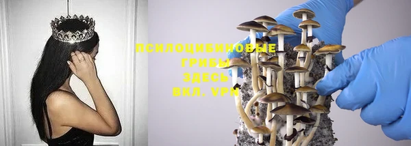 прущая мука Лабытнанги
