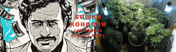 альфа пвп Куйбышев