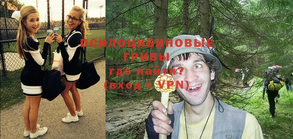 спиды Лагань