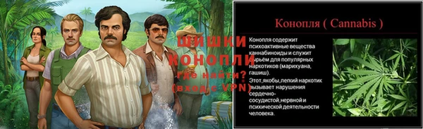 ПСИЛОЦИБИНОВЫЕ ГРИБЫ Кулебаки