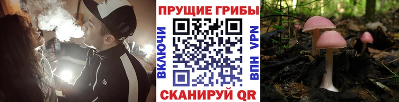 купить Макушино Галлюциногенные грибы Magic Shrooms